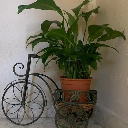 Apartamento Cerca De La Playa En Puerto Santiago 푸에르토 데 산티아고
